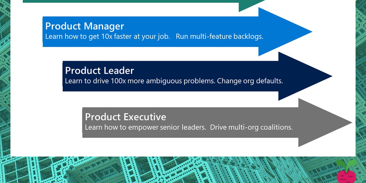 Thumbnail of From Product Manager to Product Leader