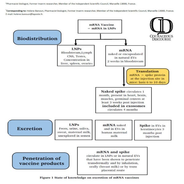 Why the "unvaccinated" are wise to keep their distance from the (newly?) "vaccinated".