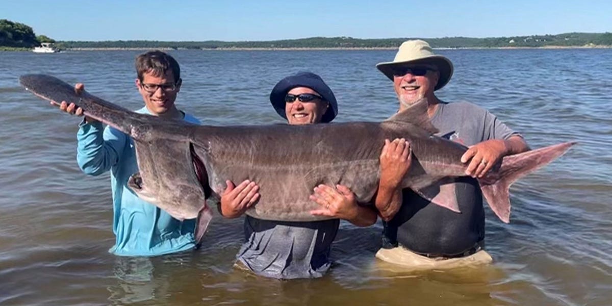Guide: New paddlefish world record likely to stand 'for a long, long time