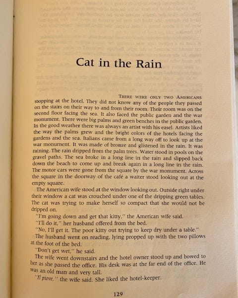 "Cat in the Rain," Yes, Still