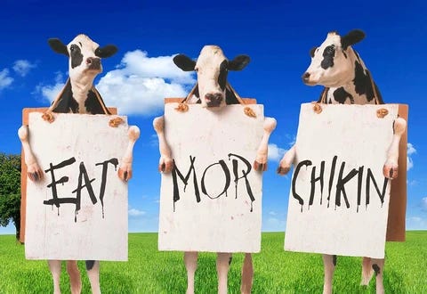 Moral Costs Of Chicken Vs. Beef