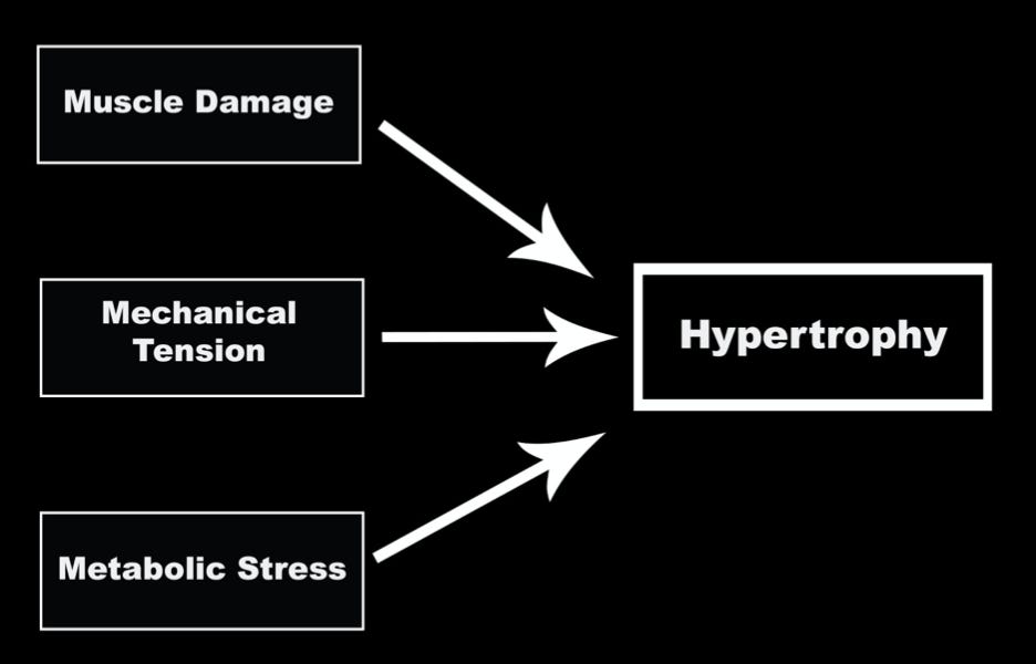 Effects of Drop Sets on Skeletal Muscle Hypertrophy: A Systematic