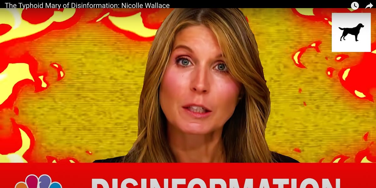 "The Typhoid Mary of Disinformation": Nicolle Wallace. Nobody Spreads it More Relentlessly.