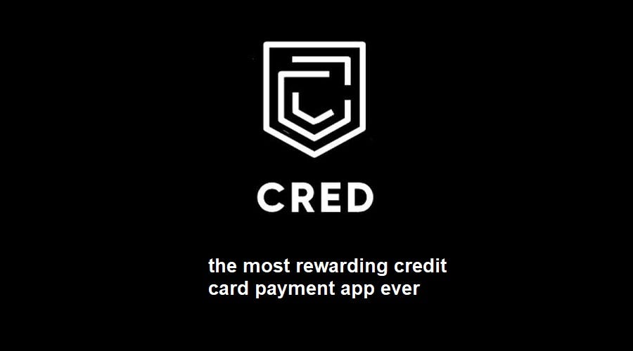 CRED Business Model | How Does Cred Make Money? – Feedough