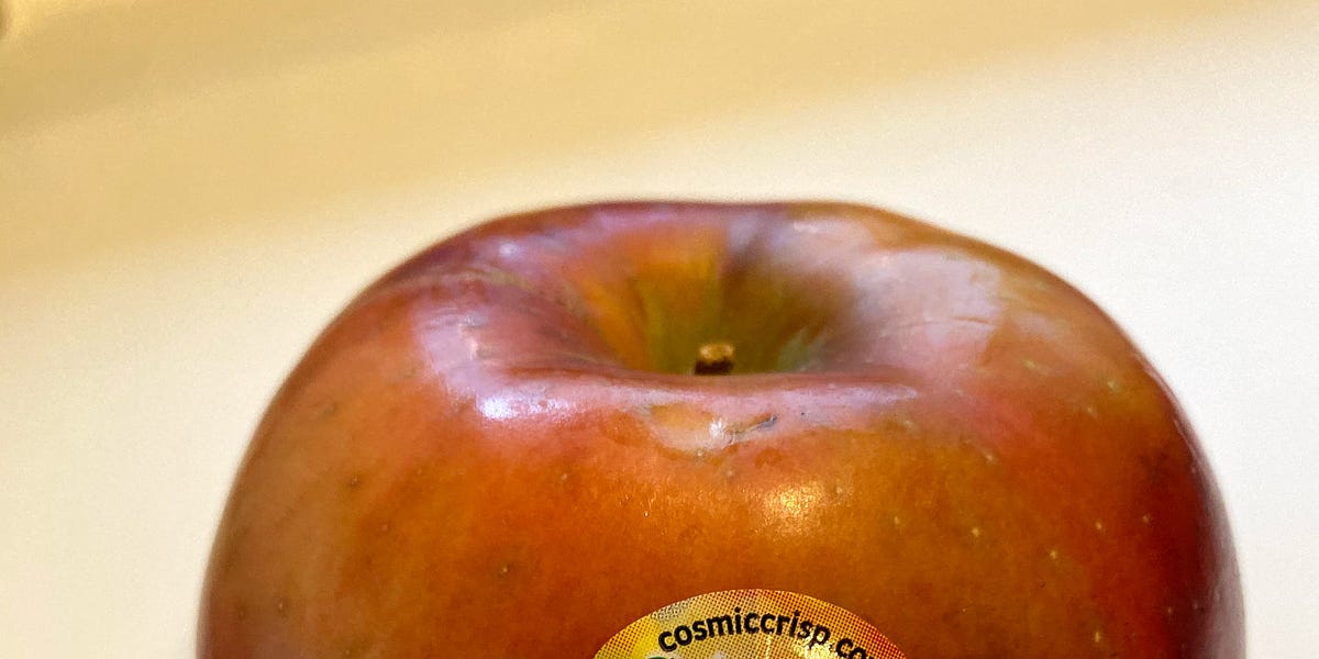 Cosmic Crisp vs Honeycrisp smackdown - Adam's Apples