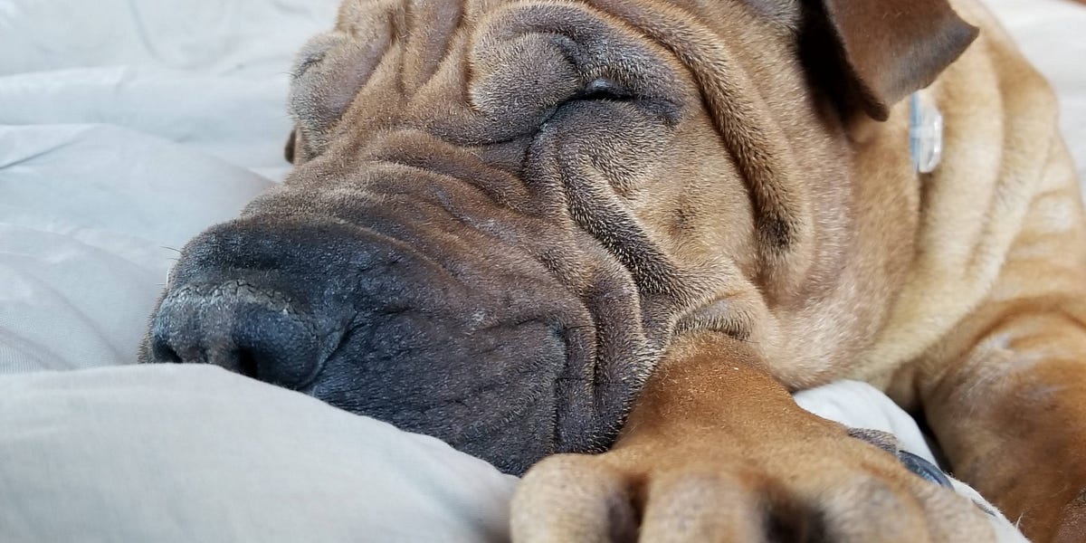 Comments What Happens When You Decide that Rest is Good?