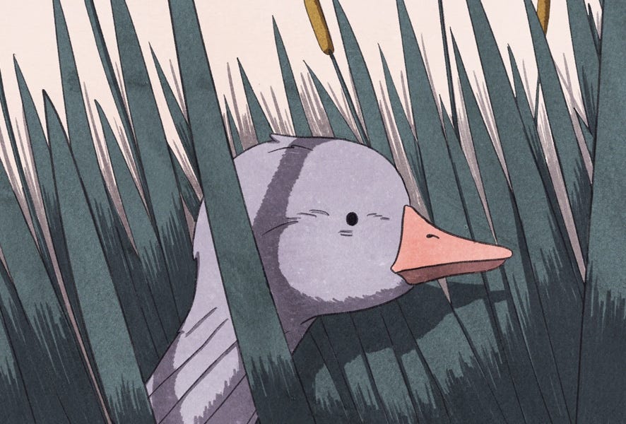 You Can’t Make This Shit Up by Joyce Y. Ng OPEN PANEL