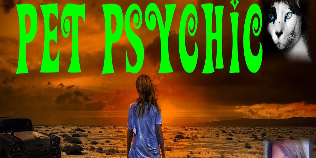 Pet Psychic Messages of Love | Interview with Carrie Kenady | Stories of the Supernatural
