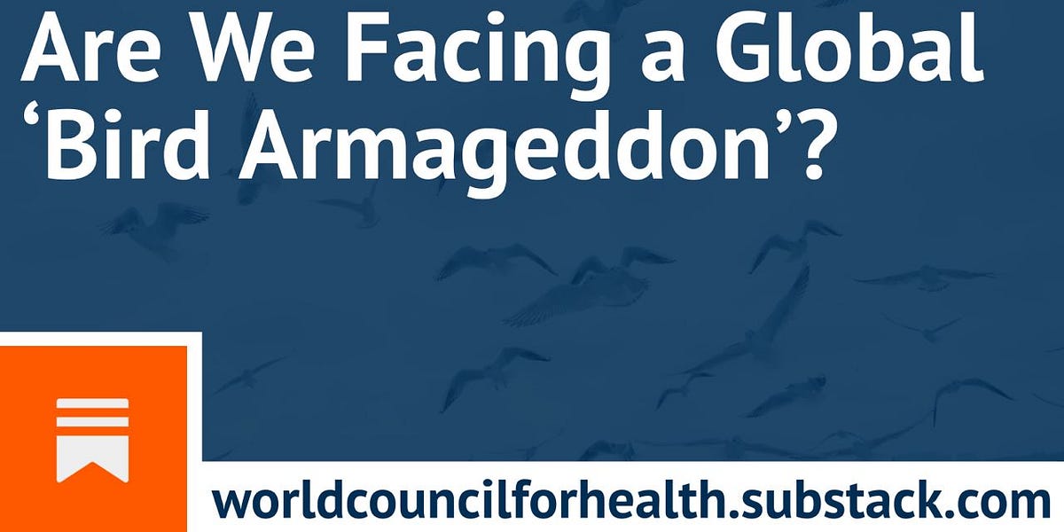 Are We Facing a Global ‘Bird Armageddon’?