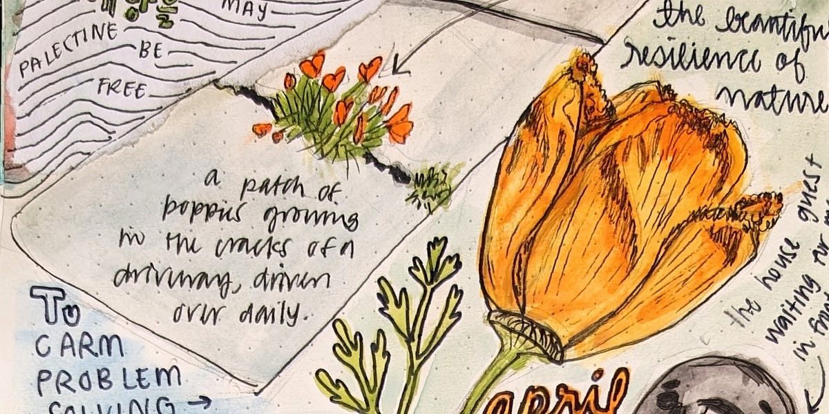 Resilience - Jessica’s Substack