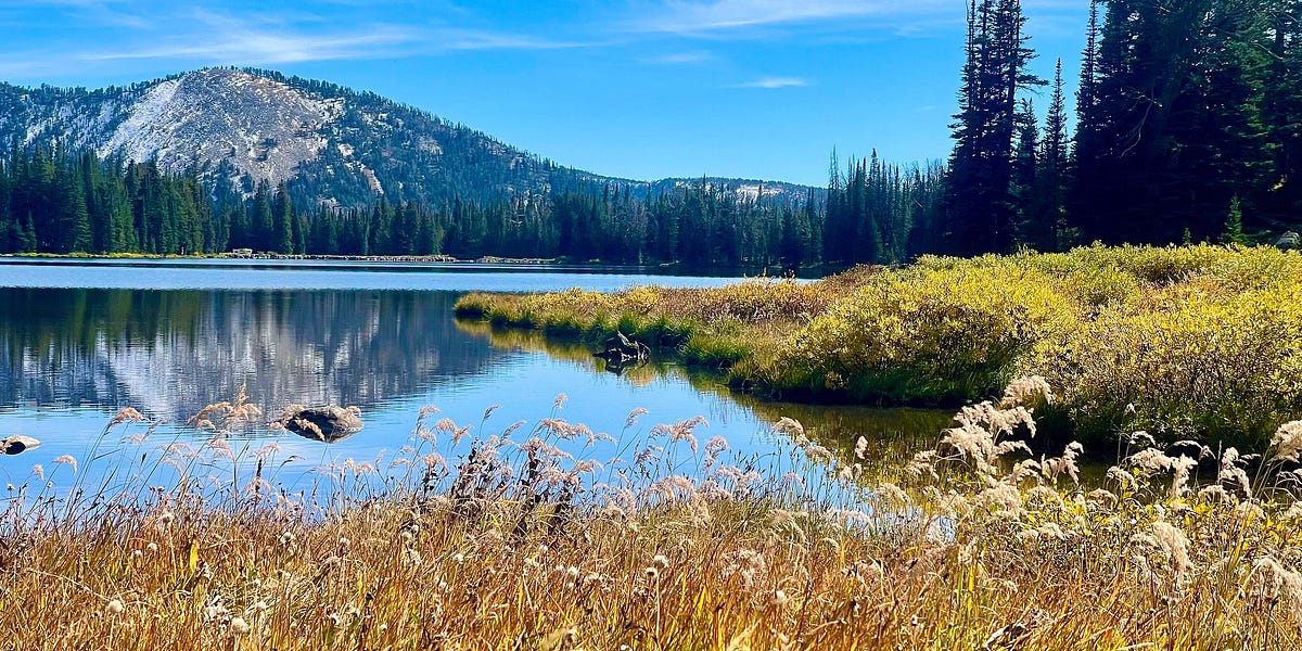 wessiler.substack.com