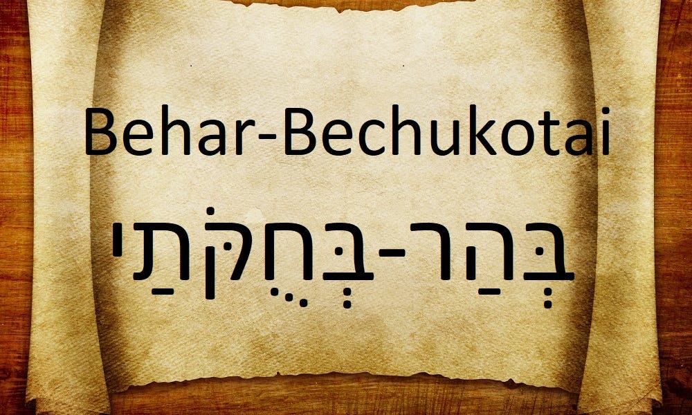 Parshiyot Behar-Bechukotai: Accountable Stewardship
