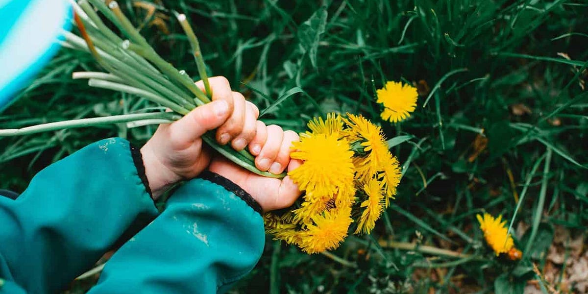Do You Know About Urban Food Foraging?