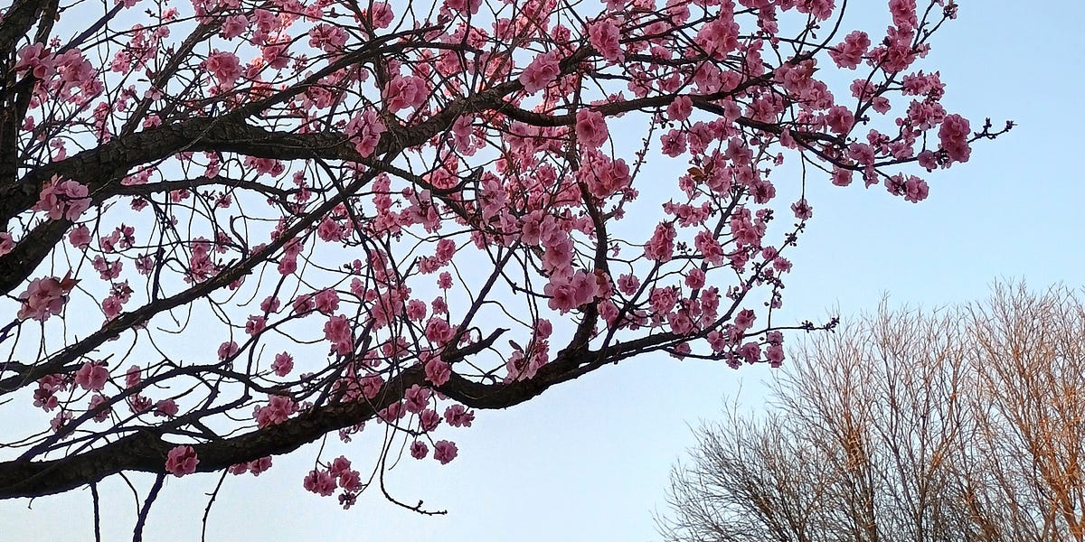 Of late... by Naomi Hope & Motion blog & newsletter