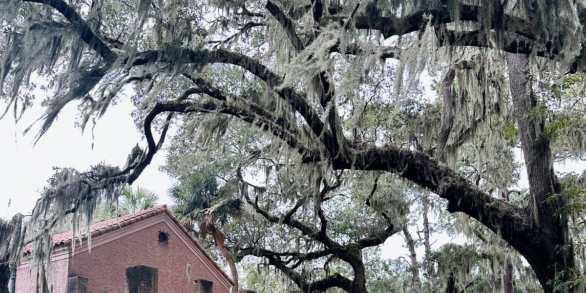 What are you building? by Megan MayhewBergman