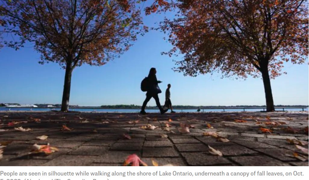 Excess Deaths in Young Canadians Jump to 27 Percent
