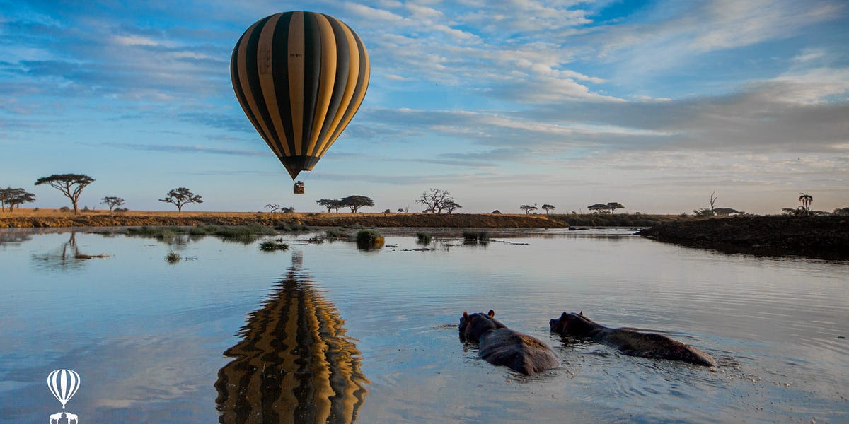 Soaring Above the Serengeti Part 2