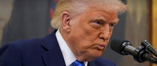 Trump Appears To Be Too Stupid To Know That His Staff Is Lying To Him About Supreme Court Decisions