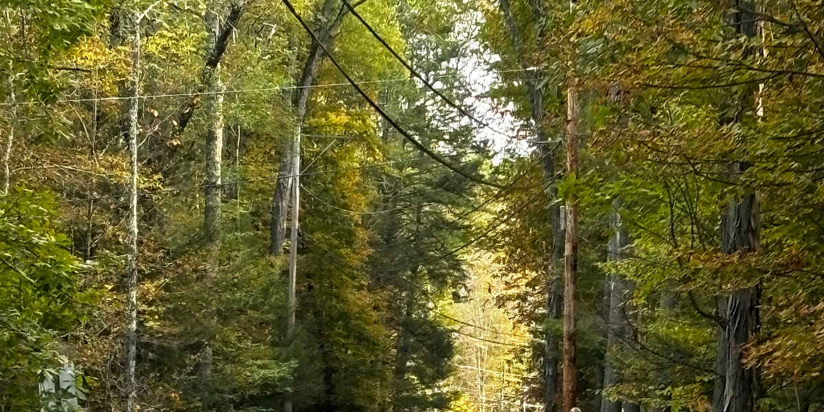 Walk On By by Nancy Jainchill The Armchair Journalist