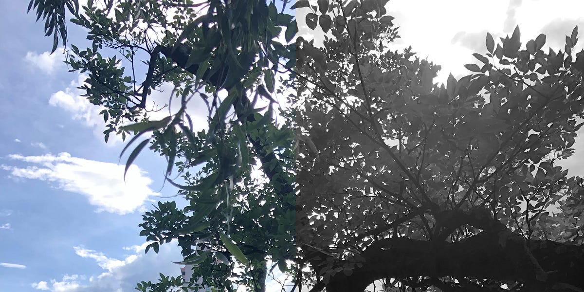 Colors on the Other Side A Collection of Poetry