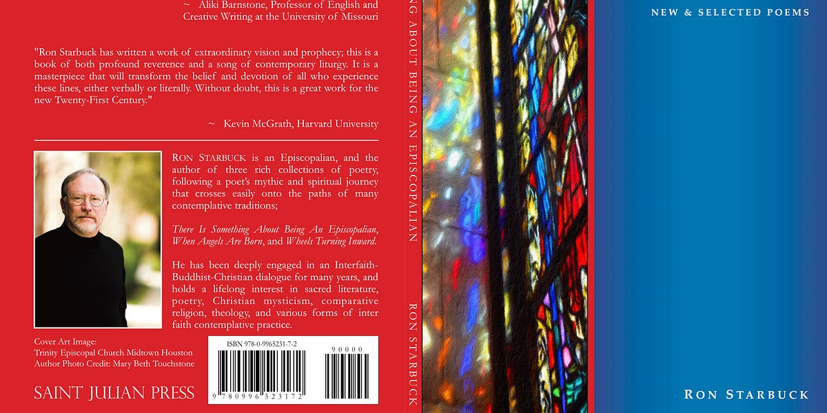 MOCKINGBIRD MORNING Saint Julian Press