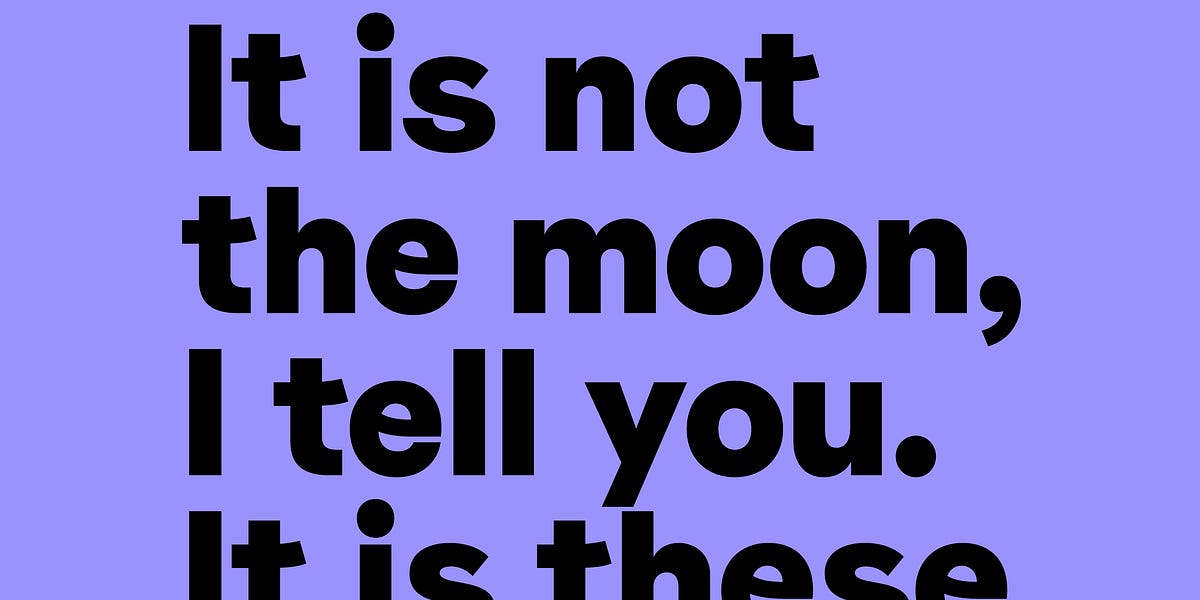 It Is These Flowers Lighting the Yard