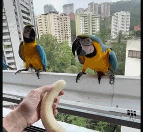 Wait I Thought You Were Off Today, Wonkette! Tabs, Wed., June 19, 2024