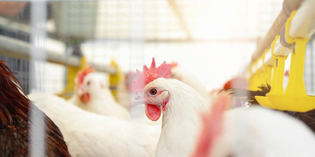 Sebastopol City Council votes to oppose Measure J