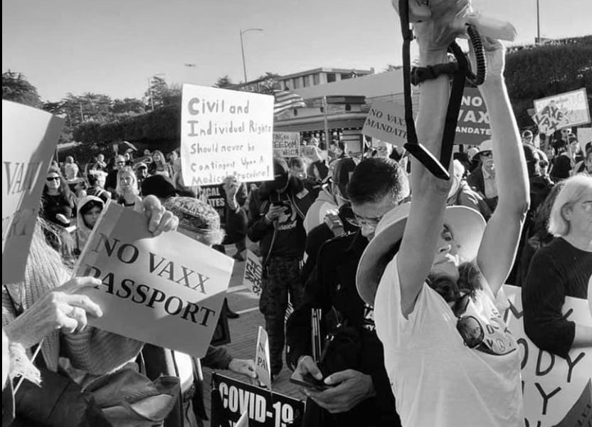 Let the geese gabble & hiss...