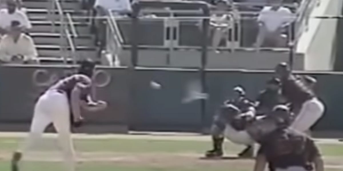 Randy Johnson's Strange Photography Logo is the Bird He Hit with a