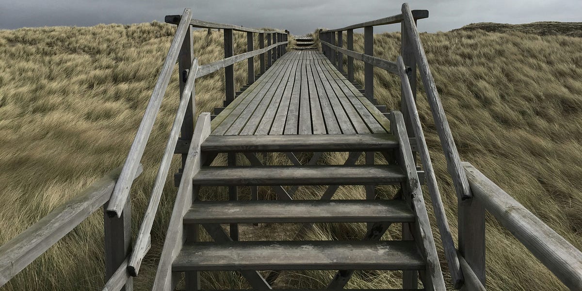 Rediscovering Curiosity by Madeline Walsh No Directions