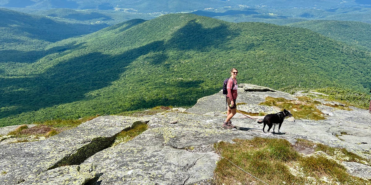 Hi, it's me. - by Deirdre Doran - Deirdre’s Substack