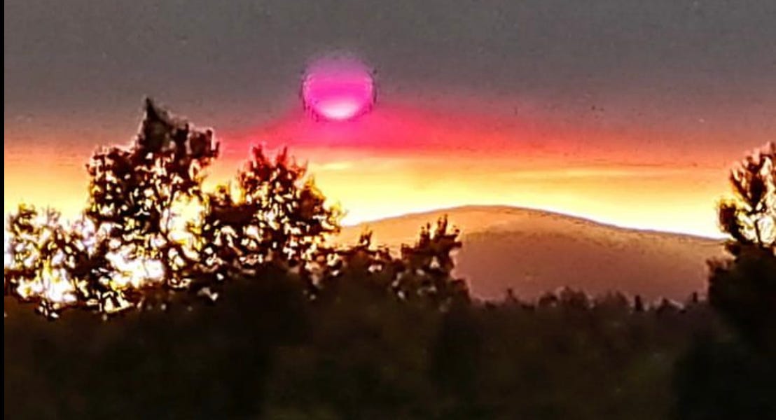 "Geo-engineering is the most dangerous diabolical thing that has ever happened to us."