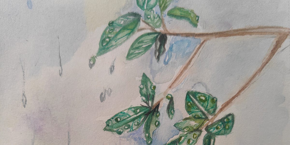 Pitter Patter by Khushi Solanki Khushi’s Substack