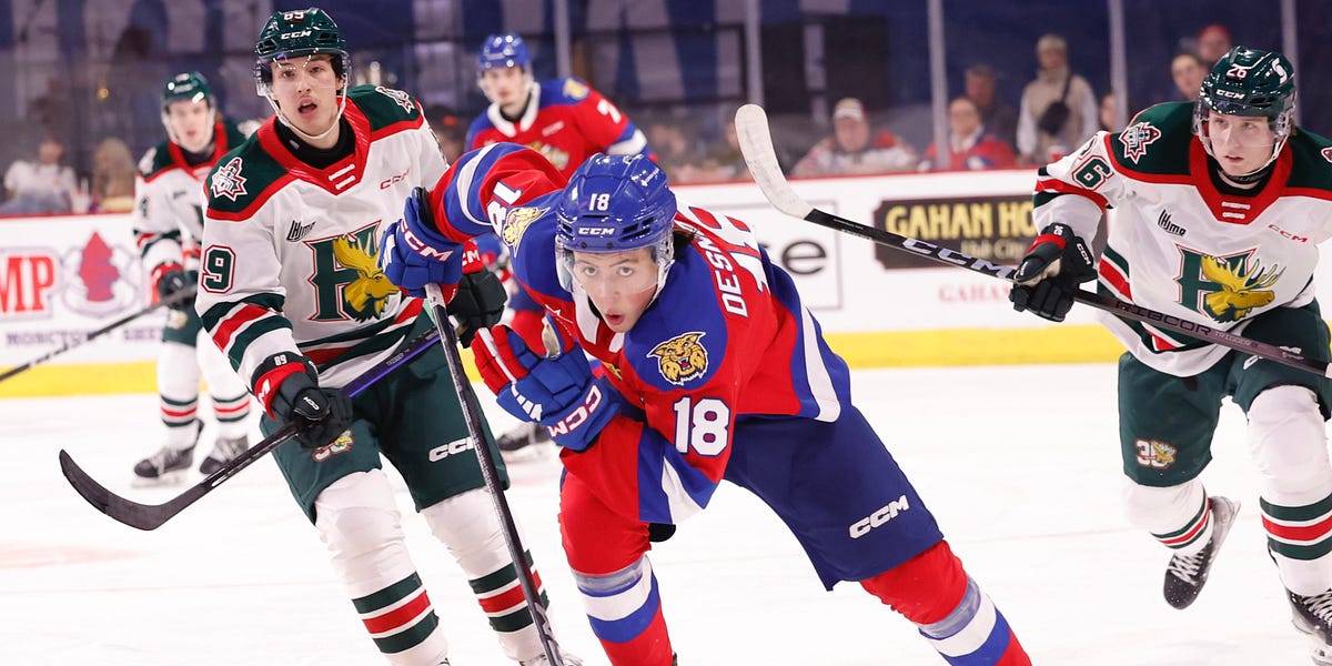 Upside Hockey's 2025 NHL Draft Rankings — January Edition