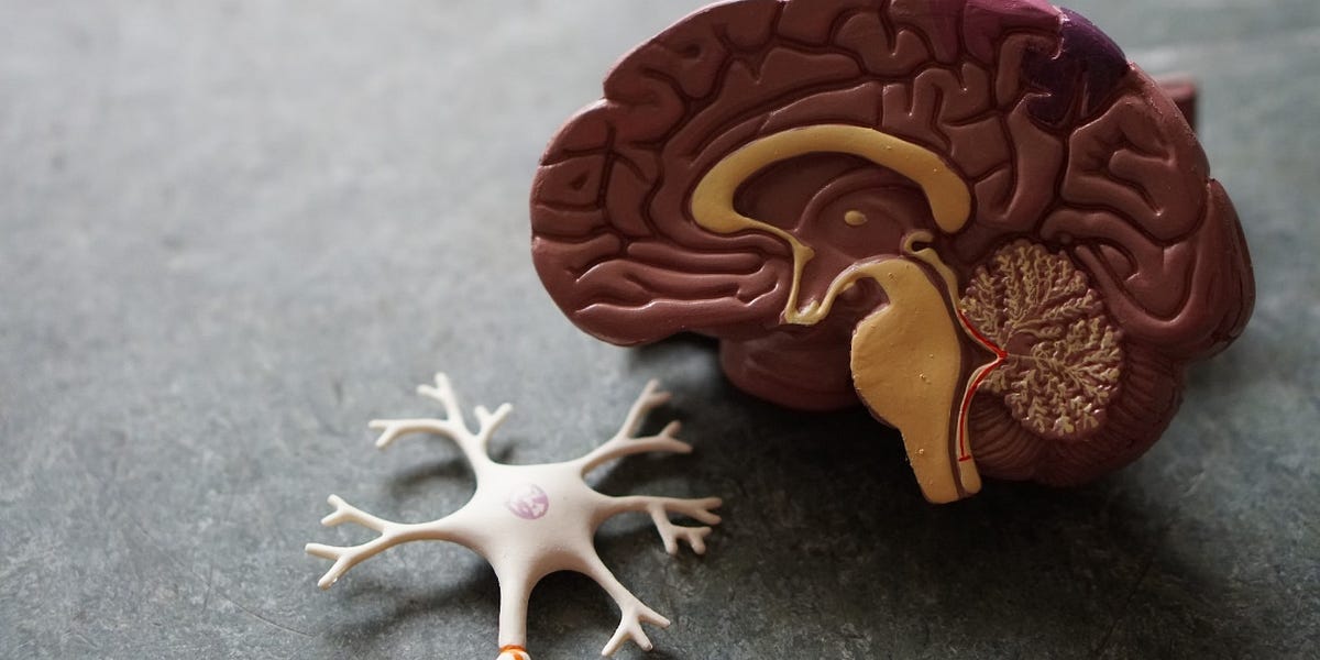 Emerging Science: The True Precipitating Cause of Alzheimer’s May Be Much Simpler Than Previously Believed