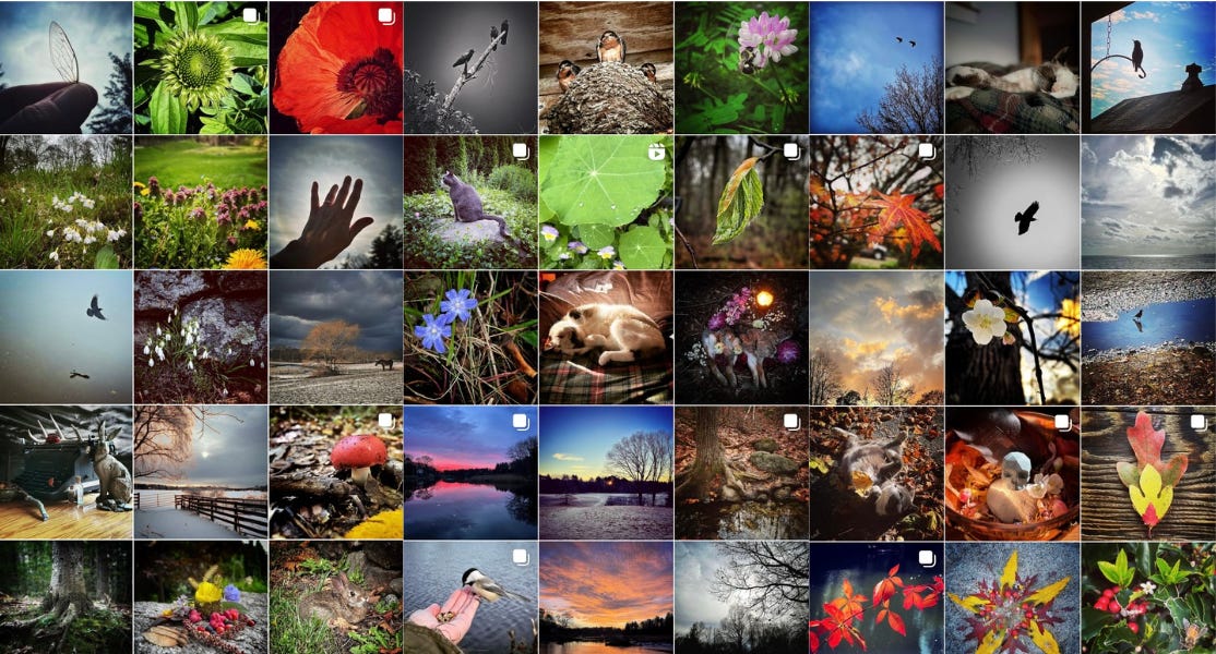 Unearth your memory touchstones by SuddenlyJamie