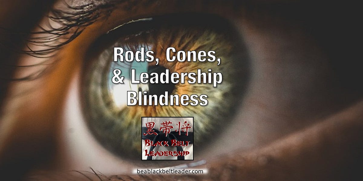 Rods, Cones, and Leadership Blindness