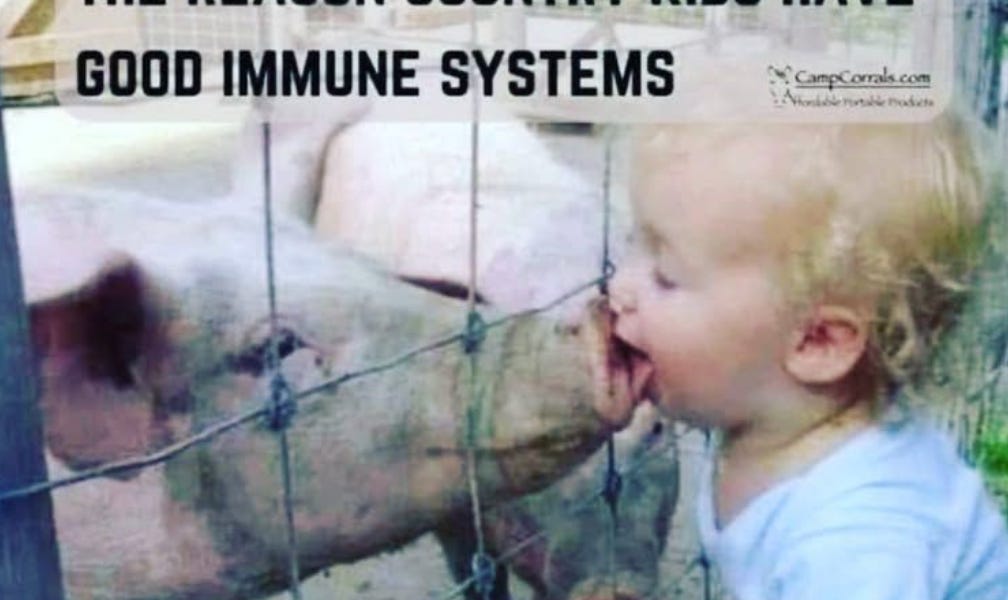 Friday Funnies: Pig Kisses