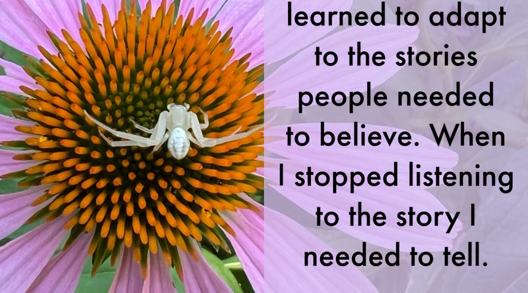 Storyweaver (Part 1) by Vanessa Rosage