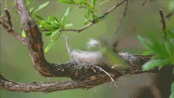 The 14 Best Hotels In Toronto! Tabs, Fri., March 29, 2024