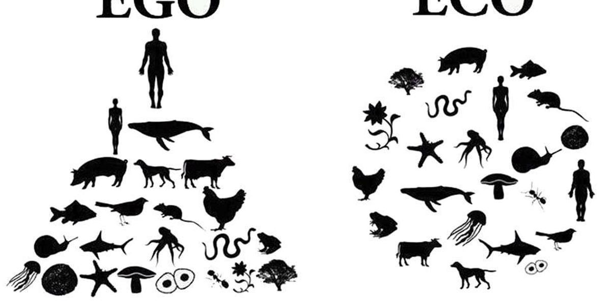 ECO vs EGO by Camilla Sanderson