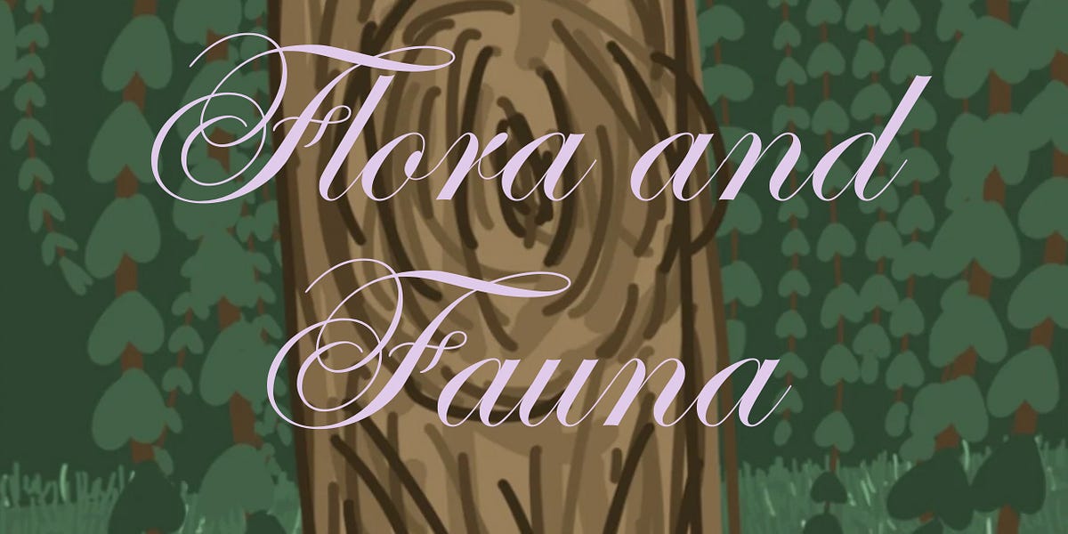 Springtime and Seasonal Change Maleah Brazier