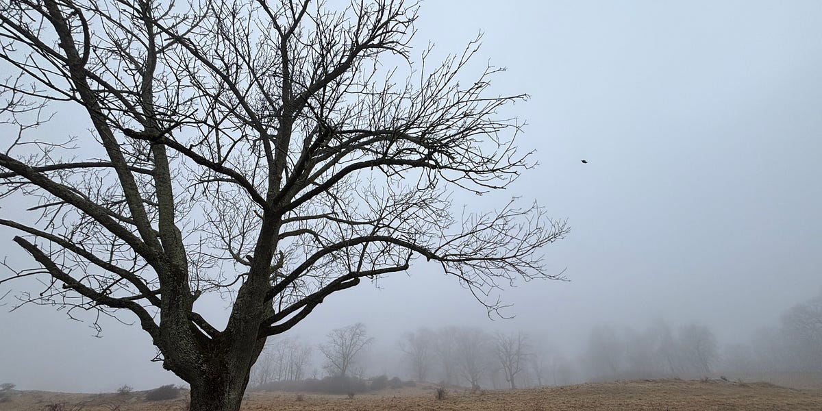 Back to Mongolia, AI Bot Update, Parenting in 2025