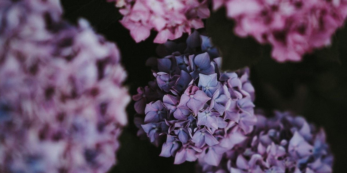 What is a ManifestingGenerator? by Nicola Bird