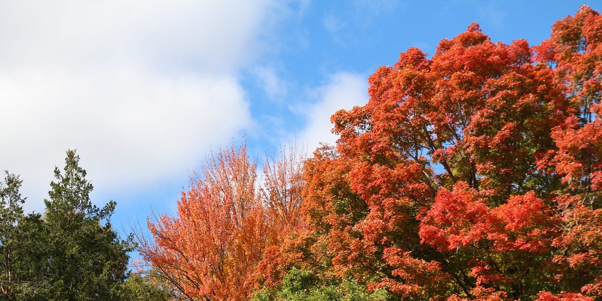 How to Cope With Seasonal Affective Disorder