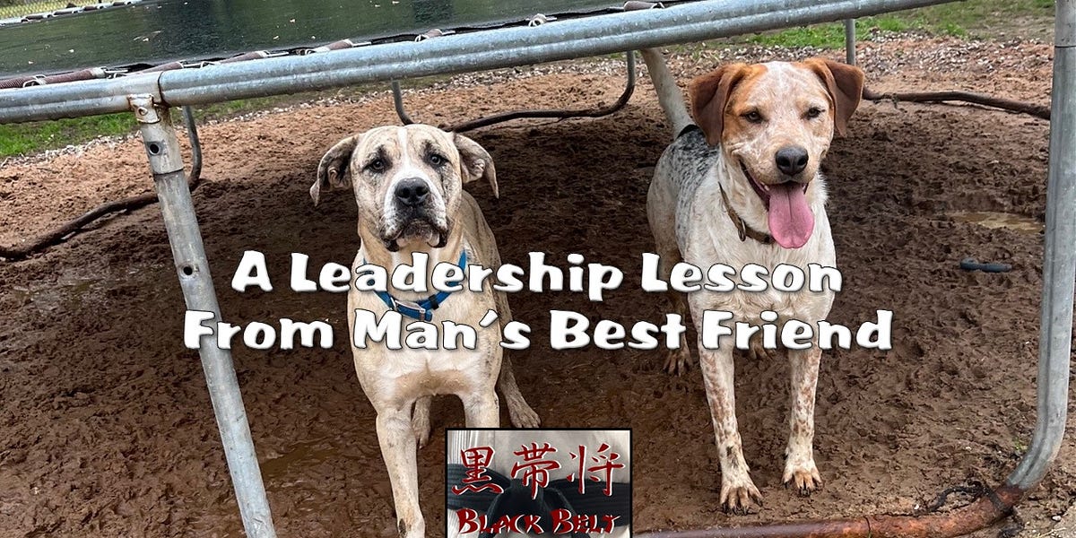 A Leadership Lesson from Man's Best Friend