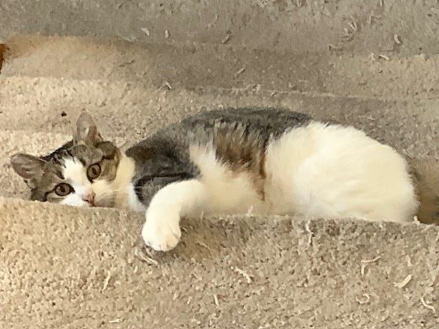 Are You Ready For An Easter Adventure?!? Are You Ready For An Easter Adventure?!?