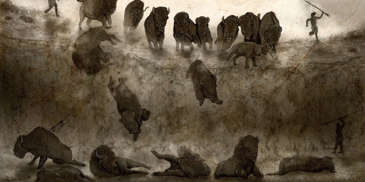 The Revered? Buffalo