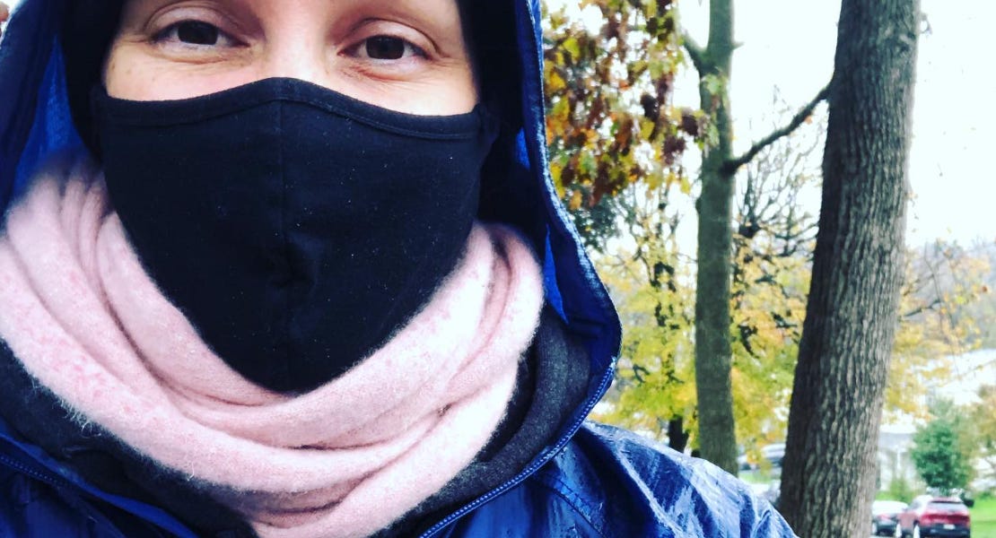 Scenes from a Swing State (Lancaster PA, 2020)